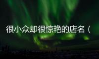 很小眾卻很驚艷的店名（很小眾卻很驚艷的店名飾品）