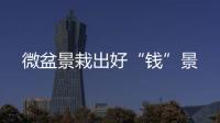 微盆景栽出好“錢”景