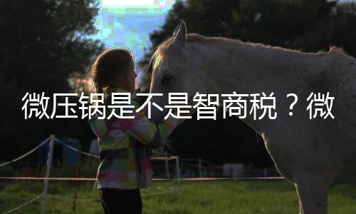 微壓鍋是不是智商稅？微壓鍋的害處有哪些？