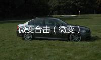 微變合擊（微變）