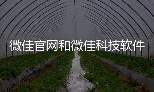 微佳官網和微佳科技軟件的情況說明