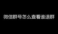 微信群號怎么查看誰退群了（微信群號怎么查）