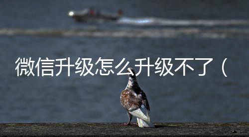 微信升級怎么升級不了（微信升級怎么升）