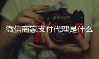 微信商家支付代理是什么 這就為大家揭曉