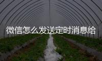 微信怎么發(fā)送定時消息給好友，微信怎么發(fā)送定時消息