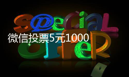 微信投票5元1000 真人投票多少錢一票？