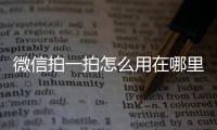 微信拍一拍怎么用在哪里 微信拍一拍后綴設置方法最新介紹