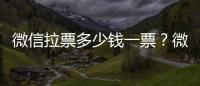 微信拉票多少錢一票？微信刷投票價格多少