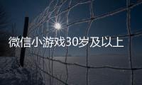 微信小游戲30歲及以上用戶占比達66%更受女性歡迎