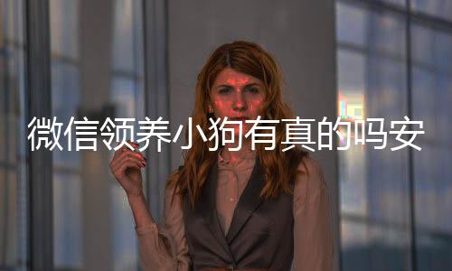 微信領養小狗有真的嗎安全嗎(微信領養小狗有真的嗎可信嗎)