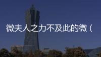 微夫人之力不及此的微（微夫人之力不及此）