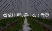 微塑料污染是什么（微塑料污染的危害）