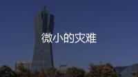 微小的災難