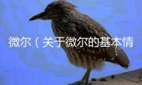微爾（關(guān)于微爾的基本情況說明介紹）
