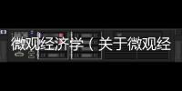 微觀經(jīng)濟(jì)學(xué)（關(guān)于微觀經(jīng)濟(jì)學(xué)的基本情況說(shuō)明介紹）