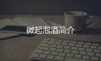 微起泡酒簡(jiǎn)介