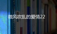 微風吹亂的愛情22
