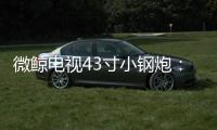 微鯨電視43寸小鋼炮：2098元價格+8503部影片極具競爭力