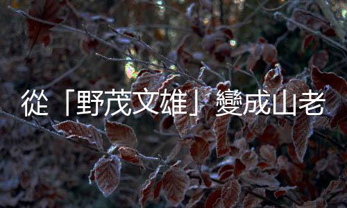 從「野茂文雄」變成山老鼠，前La New熊王牌許文雄的落魄人生