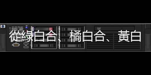 從綠白合、橘白合、黃白合，到黑白合、紅白合、藍白合的柯文哲