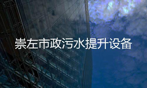 崇左市政污水提升設備