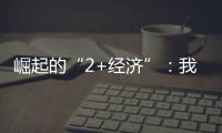 崛起的“2+經(jīng)濟(jì)”：我有三臺冰箱，放菜，放酒、放面膜