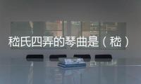 嵇氏四弄的琴曲是（嵇）