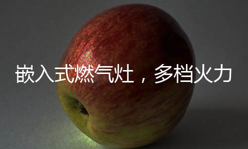 嵌入式燃氣灶，多檔火力自由調節，助你實力演繹烹飪大智慧