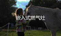 嵌入式燃?xì)庠?/></div></a><tt lang=