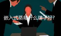 嵌入式蒸箱什么牌子好?選老板蒸烤一體機,下廚so easy