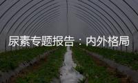 尿素專題報告：內外格局再次扭轉
