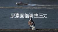 尿素面臨調整壓力