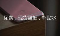 尿素：現(xiàn)貨堅(jiān)挺，補(bǔ)貼水格局延續(xù)