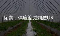 尿素：供應縮減刺激UR01出現漲停