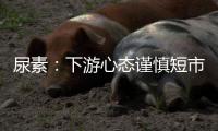 尿素：下游心態謹慎短市小跌探市
