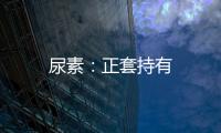 尿素：正套持有