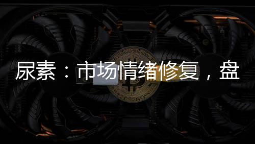 尿素：市場情緒修復，盤面反抽修正