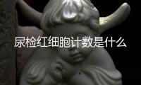 尿檢紅細胞計數(shù)是什么