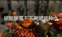 尿酸居高不下常喝這種水能讓尿酸嗖嗖降痛風(fēng)跑遠(yuǎn)遠(yuǎn)
