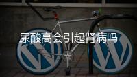 尿酸高會引起腎病嗎