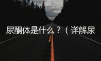 尿酮體是什么？（詳解尿酮體的定義與作用）