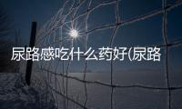 尿路感吃什么藥好(尿路感吃什么藥好使)