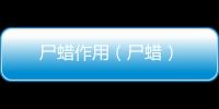尸蠟作用（尸蠟）