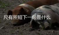 尺有所短下一句是什么 尺有所短的下一句是什么