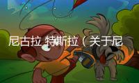 尼古拉 特斯拉（關于尼古拉 特斯拉的基本情況說明介紹）