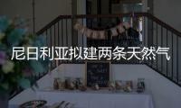 尼日利亞擬建兩條天然氣管道以改善電力供應(yīng)狀況