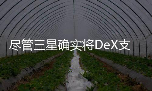 盡管三星確實將DeX支持PC的支持移植到了較舊的旗艦產品上