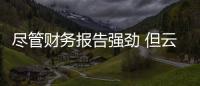 盡管財務報告強勁 但云智能平臺股價仍在下滑