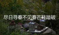 盡日尋春不見春芒鞋踏破隴頭云全詩 盡日尋春不見春芒鞋踏破隴頭云譯文