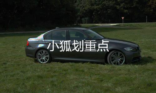 小狐劃重點